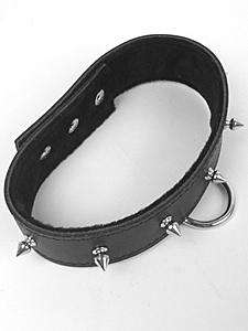 Leather Spiked Collar