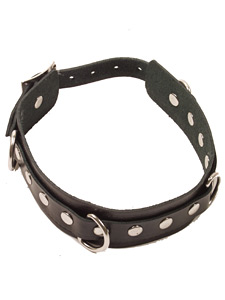 Secret Obsessions Buckled Neckbrace