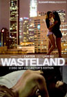 Wasteland 2 Disc Set