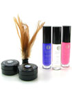 Shunga Geishas Secrets Collection