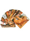Matrix Content Adult Playing Cards Red Deck