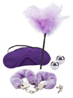 Berman Shades of Purple Playroom Kit